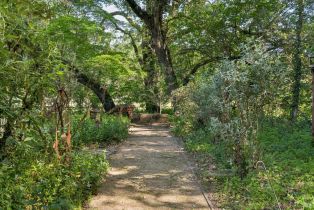Single Family Residence,  Congress Valley road, Napa, CA 94558 - 91