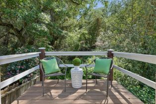 Single Family Residence,  Congress Valley road, Napa, CA 94558 - 77