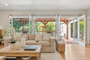 Single Family Residence,  Congress Valley road, Napa, CA 94558 - 9