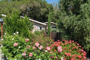 2 Houses on Lot, 8349 Dry Creek road, Healdsburg, CA 95448 - 45