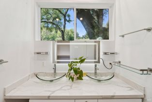 2 Houses on Lot, 8349 Dry Creek road, Healdsburg, CA 95448 - 53