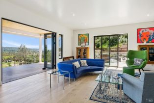 2 Houses on Lot, 8349 Dry Creek road, Healdsburg, CA 95448 - 14