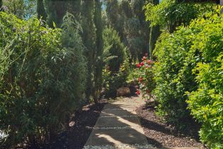 2 Houses on Lot, 8349 Dry Creek road, Healdsburg, CA 95448 - 59