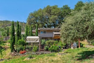 2 Houses on Lot, 8349 Dry Creek road, Healdsburg, CA 95448 - 44