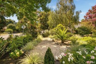 Single Family Residence,  1st street, Napa, CA 94559 - 62