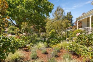 Single Family Residence,  1st street, Napa, CA 94559 - 60