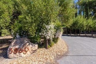 Single Family Residence,  Silverado trail, Calistoga, CA 94515 - 49
