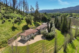 Single Family Residence,  Silverado trail, Calistoga, CA 94515 - 52