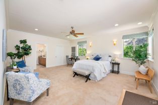 Single Family Residence,  Silverado trail, Calistoga, CA 94515 - 29