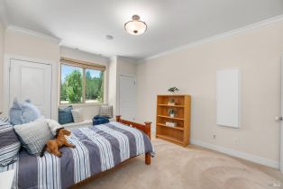 Single Family Residence,  Silverado trail, Calistoga, CA 94515 - 37
