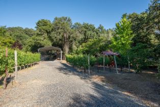 Single Family Residence, River road, Cloverdale, CA 95425 - 36