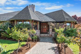 Single Family Residence, Davila court, Sonoma, CA 95476 - 2