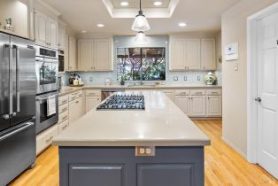 Single Family Residence, Davila court, Sonoma, CA 95476 - 9