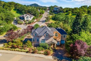 Single Family Residence,  Moonlight drive, Healdsburg, CA 95448 - 60