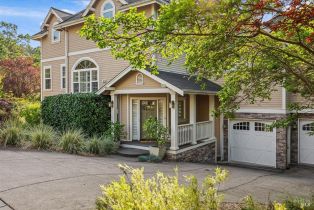 Single Family Residence,  Moonlight drive, Healdsburg, CA 95448 - 4