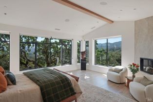 Single Family Residence, Wild Turkey run, Santa Rosa, CA 95404 - 23