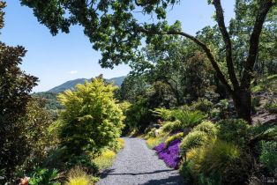 Single Family Residence, Wild Turkey run, Santa Rosa, CA 95404 - 36