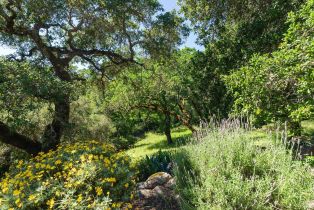 Single Family Residence, San Ramon way, Santa Rosa, CA 95409 - 9