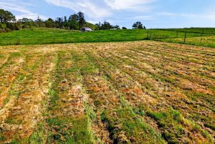 Residential Acreage, 11 Limerick lane, Healdsburg, CA 95448 - 2