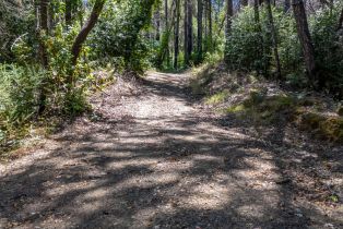 Residential Lot,  Mill Creek road, Healdsburg, CA 95448 - 38