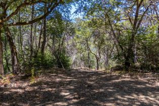 Residential Lot,  Mill Creek road, Healdsburg, CA 95448 - 12