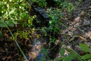 Residential Lot,  Mill Creek road, Healdsburg, CA 95448 - 8
