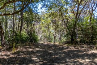 Residential Lot,  Mill Creek road, Healdsburg, CA 95448 - 39
