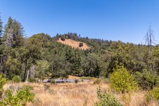 Residential Lot,  Mill Creek road, Healdsburg, CA 95448 - 40
