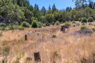 Residential Lot,  Mill Creek road, Healdsburg, CA 95448 - 30