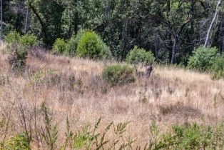Residential Lot,  Mill Creek road, Healdsburg, CA 95448 - 31