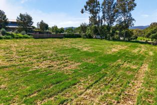 Land, 12 Limerick Ln, Healdsburg, CA  Healdsburg, CA 95448