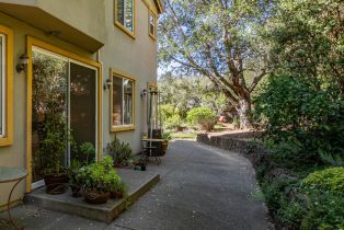 Single Family Residence,  Lavender terrace, Petaluma, CA 94952 - 48