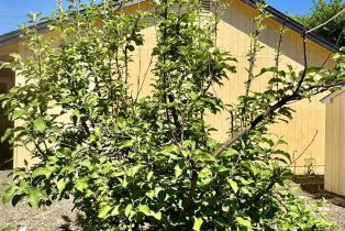 Single Family Residence, Hearn avenue, Santa Rosa, CA 95407 - 20