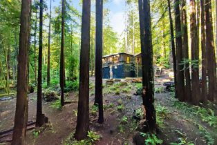Single Family Residence,  Bittner road, Occidental, CA 95465 - 26