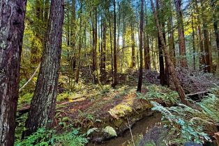 Single Family Residence,  Bittner road, Occidental, CA 95465 - 22