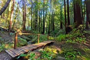 Single Family Residence,  Bittner road, Occidental, CA 95465 - 25