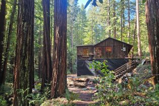 Single Family Residence,  Bittner road, Occidental, CA 95465 - 31