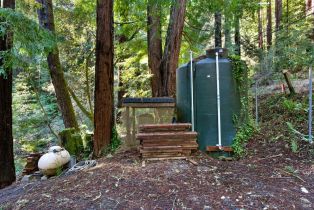 Single Family Residence,  Bittner road, Occidental, CA 95465 - 20
