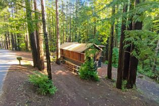 Single Family Residence,  Bittner road, Occidental, CA 95465 - 3