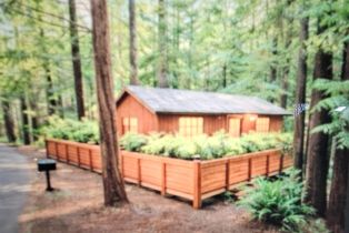 Single Family Residence,  Bittner road, Occidental, CA 95465 - 7
