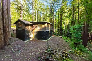 Single Family Residence,  Bittner road, Occidental, CA 95465 - 30