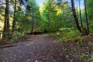 Single Family Residence,  Bittner road, Occidental, CA 95465 - 23