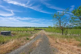 Single Family Residence,  Pleasant avenue, Santa Rosa, CA 95403 - 69
