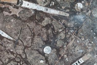 Single Family Residence,  Tide Pool none, Sea Ranch, CA 95497 - 14