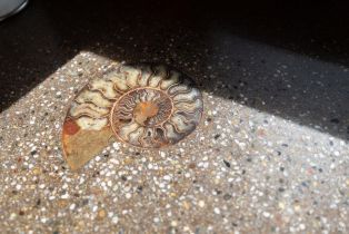 Single Family Residence,  Tide Pool none, Sea Ranch, CA 95497 - 18