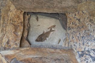 Single Family Residence,  Tide Pool none, Sea Ranch, CA 95497 - 23