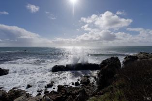 Single Family Residence,  Tide Pool none, Sea Ranch, CA 95497 - 68
