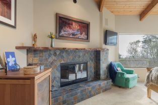 Single Family Residence,  Tide Pool none, Sea Ranch, CA 95497 - 28