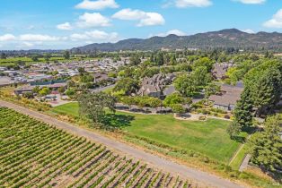 Single Family Residence,  Vintner court, Yountville, CA 94599 - 68