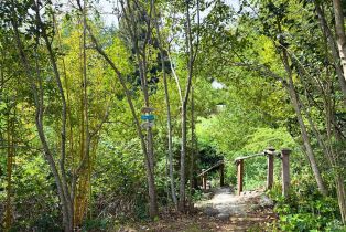 Single Family Residence, Temelec drive, Sonoma, CA 95476 - 22